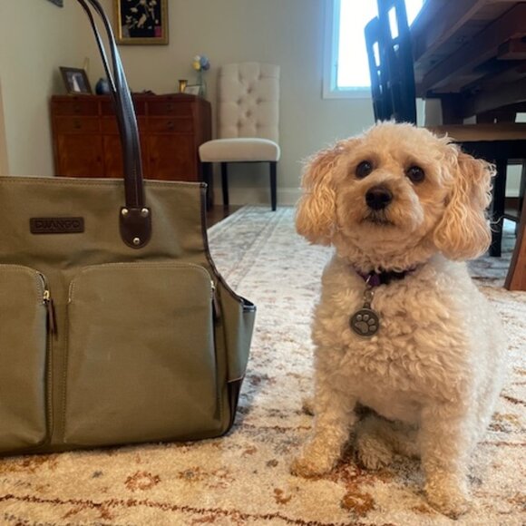 Lux Dog Carrier/Purse - Olive Green Canvas with Brown Leather - Picture 8 of 8